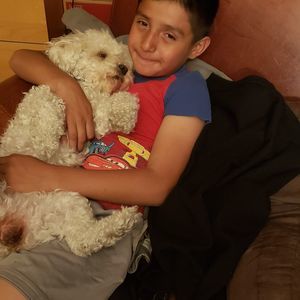 Meet your Posher, Ana